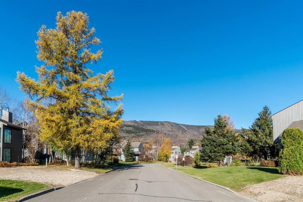 فيلا Initial - Sommet - Mont-Sainte-Anne بيوبره المظهر الخارجي الصورة